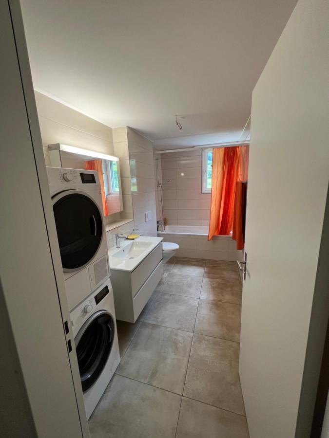 Great New Apartment Surrounded By Nature. Schattdorf Exteriör bild