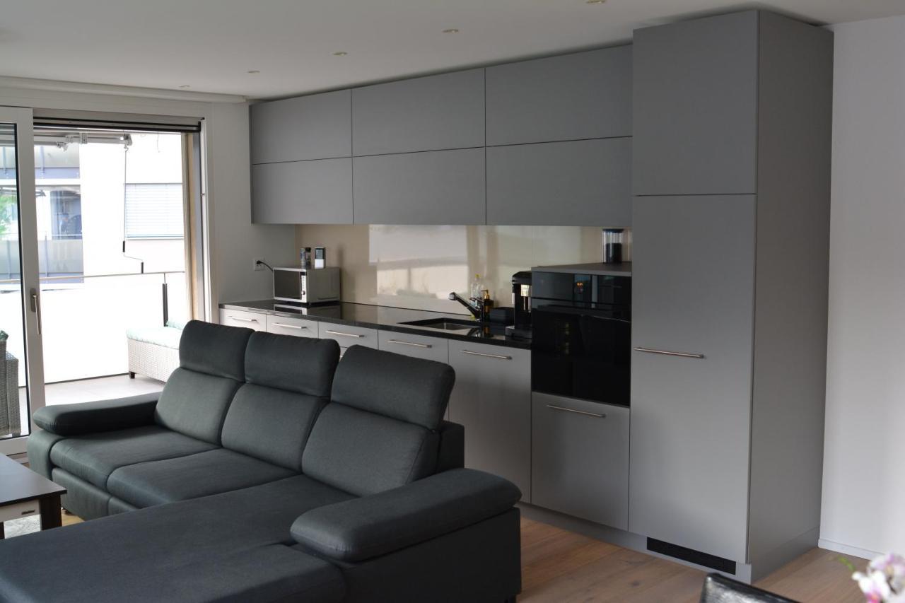 Great New Apartment Surrounded By Nature. Schattdorf Exteriör bild