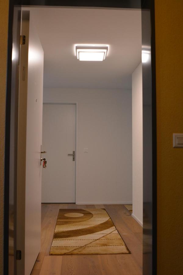 Great New Apartment Surrounded By Nature. Schattdorf Exteriör bild